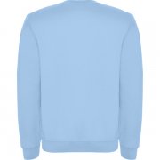 Джемпер CLASICA унисекс, НЕБЕСНО-ГОЛУБОЙ L арт. SU10700310 Джемпер CLASICA унисекс, НЕБЕСНО-ГОЛУБОЙ L арт. SU10700310