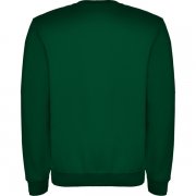 Джемпер CLASICA унисекс, БУТЫЛОЧНЫЙ ЗЕЛЕНЫЙ S