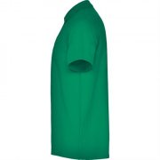 Футболка поло AUSTRAL мужская, ЯРКО-ЗЕЛЕНЫЙ 3XL арт. PO66320620