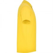 Футболка поло AUSTRAL мужская, ЖЕЛТЫЙ XL арт. PO66320403