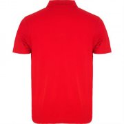 Футболка поло AUSTRAL мужская, КРАСНЫЙ M арт. PO66320260