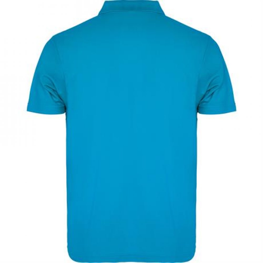 Футболка поло AUSTRAL мужская, БИРЮЗОВЫЙ M арт. PO66320212 Футболка поло AUSTRAL мужская, БИРЮЗОВЫЙ M арт. PO66320212