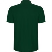 Футболка поло PEGASO PREMIUM мужская, БУТЫЛОЧНЫЙ ЗЕЛЕНЫЙ 5XL арт. PO66090856 Футболка поло PEGASO PREMIUM мужская, БУТЫЛОЧНЫЙ ЗЕЛЕНЫЙ 5XL арт. PO66090856