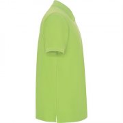 Футболка поло PEGASO PREMIUM мужская, САЛАТОВЫЙ 3XL арт. PO66090669