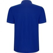 Футболка поло PEGASO PREMIUM мужская, КОРОЛЕВСКИЙ СИНИЙ 2XL арт. PO66090505 Футболка поло PEGASO PREMIUM мужская, КОРОЛЕВСКИЙ СИНИЙ 2XL арт. PO66090505