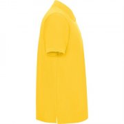 Футболка поло PEGASO PREMIUM мужская, ЖЕЛТЫЙ L арт. PO66090303 Футболка поло PEGASO PREMIUM мужская, ЖЕЛТЫЙ L арт. PO66090303