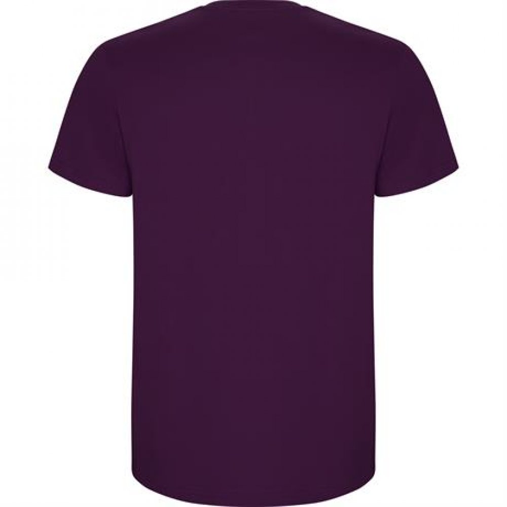 Футболка STAFFORD , ФИОЛЕТОВЫЙ 3XL арт. CA66810671 Футболка STAFFORD , ФИОЛЕТОВЫЙ 3XL арт. CA66810671