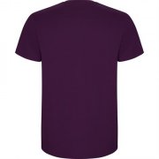 Футболка STAFFORD , ФИОЛЕТОВЫЙ 2XL арт. CA66810571