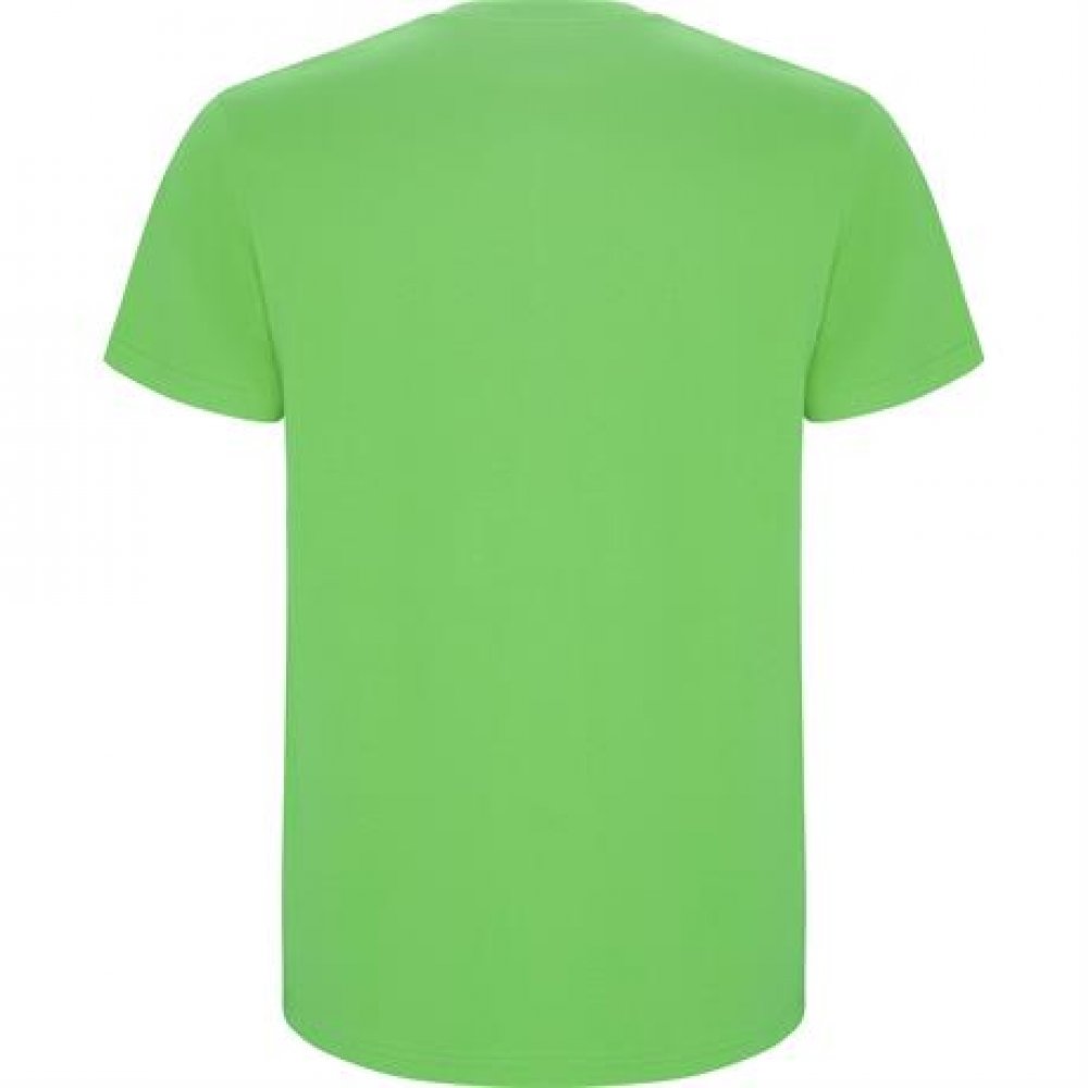 Футболка STAFFORD , СВЕТЛО-ЗЕЛЕНЫЙ M арт. CA668102114 Футболка STAFFORD , СВЕТЛО-ЗЕЛЕНЫЙ M арт. CA668102114