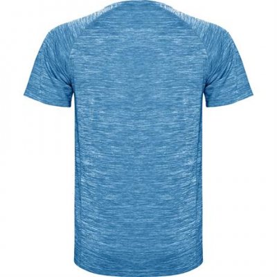 Спортивная футболка AUSTIN мужская, ПЁСТРЫЙ КОРОЛЕВСКИЙ XL арт. CA665404248