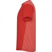 Спортивная футболка DETROIT мужская, КРАСНЫЙ 2XL арт. CA66520560254 Спортивная футболка DETROIT мужская, КРАСНЫЙ 2XL арт. CA66520560254