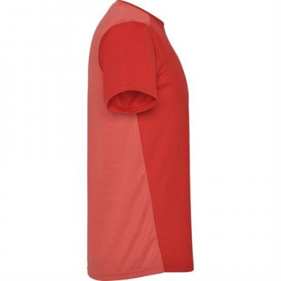 Спортивная футболка DETROIT мужская, КРАСНЫЙ 2XL арт. CA66520560254