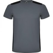 Спортивная футболка DETROIT мужская, ПАЛИСАНДР/ЧЕРНЫЙ 2XL арт. CA66520523102 Спортивная футболка DETROIT мужская, ПАЛИСАНДР/ЧЕРНЫЙ 2XL арт. CA66520523102