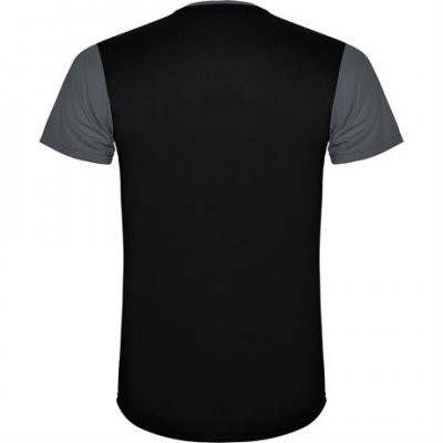 Спортивная футболка DETROIT мужская, ПАЛИСАНДР/ЧЕРНЫЙ 2XL арт. CA66520523102