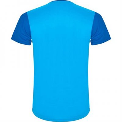 Спортивная футболка DETROIT мужская, КОРОЛЕВСКИЙ СИНИЙ 2XL арт. CA66520505242