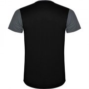 Спортивная футболка DETROIT мужская, ПАЛИСАНДР/ЧЕРНЫЙ XL арт. CA66520423102
