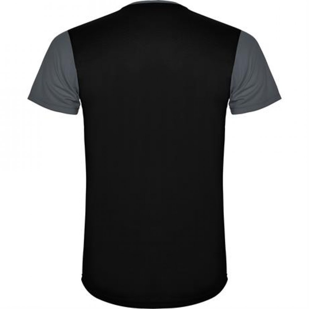 Спортивная футболка DETROIT мужская, ПАЛИСАНДР/ЧЕРНЫЙ XL арт. CA66520423102 Спортивная футболка DETROIT мужская, ПАЛИСАНДР/ЧЕРНЫЙ XL арт. CA66520423102