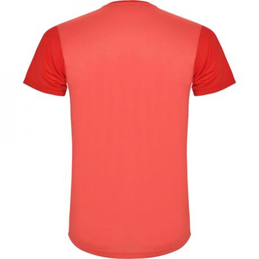 Спортивная футболка DETROIT мужская, КРАСНЫЙ L арт. CA66520360254 Спортивная футболка DETROIT мужская, КРАСНЫЙ L арт. CA66520360254