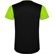 Спортивная футболка DETROIT мужская, ЛАЙМ ЯРКИЙ/ЧЕРНЫЙ L арт. CA66520323502 Спортивная футболка DETROIT мужская, ЛАЙМ ЯРКИЙ/ЧЕРНЫЙ L арт. CA66520323502