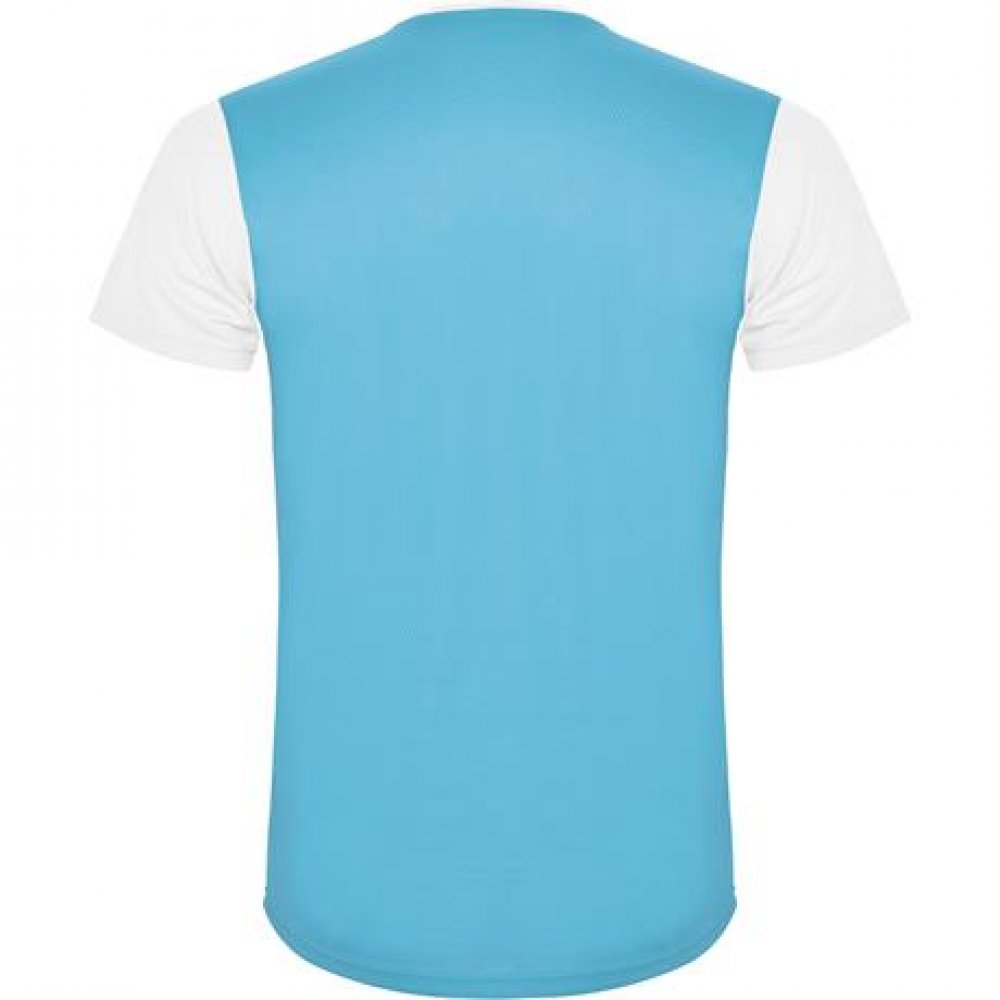 Спортивная футболка DETROIT мужская, БЕЛЫЙ/БИРЮЗОВЫЙ L арт. CA6652030112 Спортивная футболка DETROIT мужская, БЕЛЫЙ/БИРЮЗОВЫЙ L арт. CA6652030112