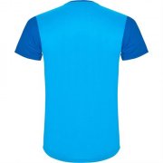 Спортивная футболка DETROIT мужская, КОРОЛЕВСКИЙ СИНИЙ M арт. CA66520205242 Спортивная футболка DETROIT мужская, КОРОЛЕВСКИЙ СИНИЙ M арт. CA66520205242