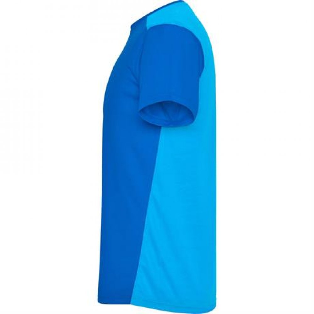 Спортивная футболка DETROIT мужская, КОРОЛЕВСКИЙ СИНИЙ S арт. CA66520105242 Спортивная футболка DETROIT мужская, КОРОЛЕВСКИЙ СИНИЙ S арт. CA66520105242