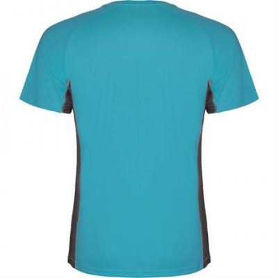 Спортивная футболка SHANGHAI мужская, БИРЮЗОВЫЙ/ТЕМНЫЙ ГРАФИТ 2XL арт. CA6595051246