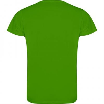 Спортивная футболка CAMIMERA мужская, ПАПАРОТНИКОВЫЙ 3XL арт. CA045006226