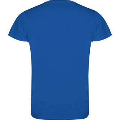 Спортивная футболка CAMIMERA мужская, КОРОЛЕВСКИЙ СИНИЙ 2XL арт. CA04500505