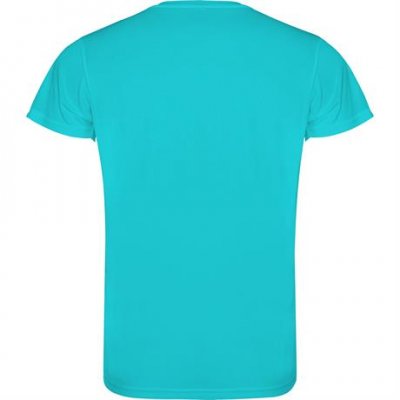 Спортивная футболка CAMIMERA мужская, БИРЮЗОВЫЙ L арт. CA04500312
