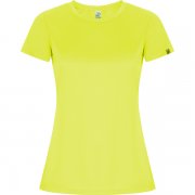 Спортивная футболка IMOLA WOMAN женская, ФЛУОРЕСЦЕНТНЫЙ ЖЕЛТЫЙ 2XL арт. CA042805221 Спортивная футболка IMOLA WOMAN женская, ФЛУОРЕСЦЕНТНЫЙ ЖЕЛТЫЙ 2XL арт. CA042805221