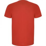 Спортивная футболка IMOLA мужская, КРАСНЫЙ 3XL арт. CA04270660 Спортивная футболка IMOLA мужская, КРАСНЫЙ 3XL арт. CA04270660