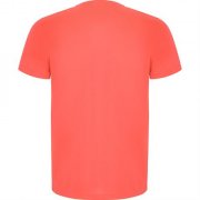 Спортивная футболка IMOLA мужская, КОРАЛЛОВЫЙ ФЛУОРЕСЦЕНТНЫЙ 3XL арт. CA042706234