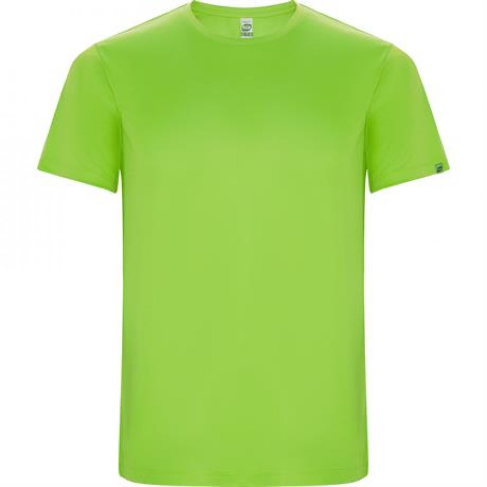 Спортивная футболка IMOLA мужская, ЛАЙМОВЫЙ 3XL арт. CA042706225 Спортивная футболка IMOLA мужская, ЛАЙМОВЫЙ 3XL арт. CA042706225