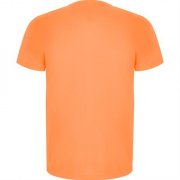 Спортивная футболка IMOLA мужская, ФЛУОРЕСЦЕНТНЫЙ ОРАНЖЕВЫЙ 3XL арт. CA042706223