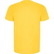 Спортивная футболка IMOLA мужская, ЖЕЛТЫЙ 3XL арт. CA04270603