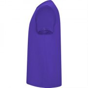 Спортивная футболка IMOLA мужская, ЛИЛОВЫЙ 2XL арт. CA04270563