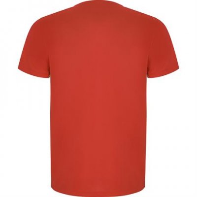 Спортивная футболка IMOLA мужская, КРАСНЫЙ 2XL арт. CA04270560