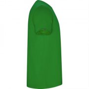 Спортивная футболка IMOLA мужская, ПАПАРОТНИКОВЫЙ 2XL арт. CA042705226