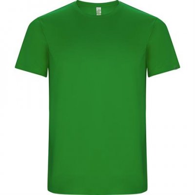 Спортивная футболка IMOLA мужская, ПАПАРОТНИКОВЫЙ 2XL арт. CA042705226