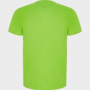 Спортивная футболка IMOLA мужская, ЛАЙМОВЫЙ 2XL арт. CA042705225 Спортивная футболка IMOLA мужская, ЛАЙМОВЫЙ 2XL арт. CA042705225