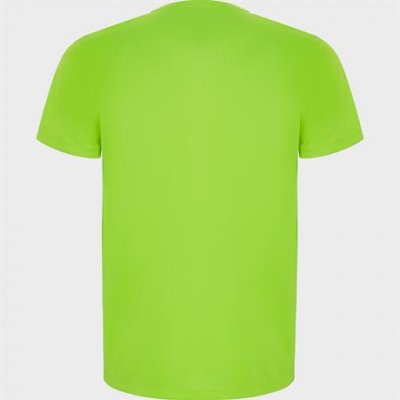Спортивная футболка IMOLA мужская, ФЛУОРЕСЦЕНТНЫЙ ЗЕЛЕНЫЙ 2XL арт. CA042705222