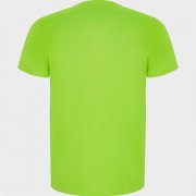 Спортивная футболка IMOLA мужская, ФЛУОРЕСЦЕНТНЫЙ ЗЕЛЕНЫЙ 2XL арт. CA042705222 Спортивная футболка IMOLA мужская, ФЛУОРЕСЦЕНТНЫЙ ЗЕЛЕНЫЙ 2XL арт. CA042705222