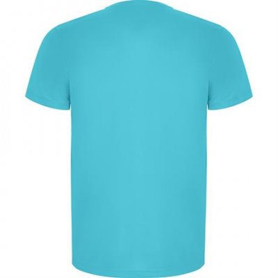 Спортивная футболка IMOLA мужская, БИРЮЗОВЫЙ 2XL арт. CA04270512