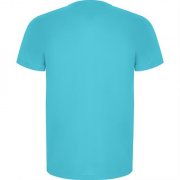 Спортивная футболка IMOLA мужская, БИРЮЗОВЫЙ 2XL арт. CA04270512 Спортивная футболка IMOLA мужская, БИРЮЗОВЫЙ 2XL арт. CA04270512