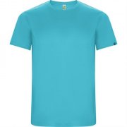 Спортивная футболка IMOLA мужская, БИРЮЗОВЫЙ 2XL