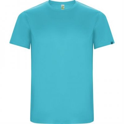 Спортивная футболка IMOLA мужская, БИРЮЗОВЫЙ 2XL арт. CA04270512