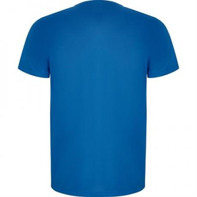 Спортивная футболка IMOLA мужская, КОРОЛЕВСКИЙ СИНИЙ 2XL