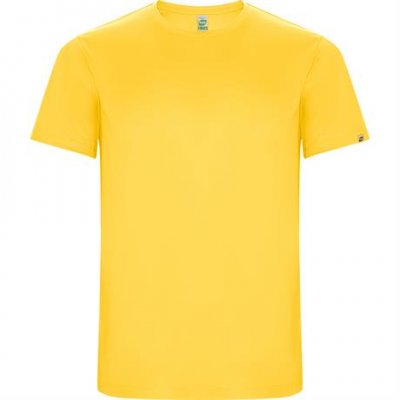 Спортивная футболка IMOLA мужская, ЖЕЛТЫЙ 2XL арт. CA04270503