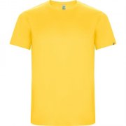 Спортивная футболка IMOLA мужская, ЖЕЛТЫЙ 2XL арт. CA04270503